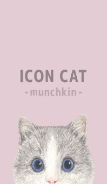 [LINE着せ替え] ICON CAT - マンチカン - PASTEL PK/06の画像1