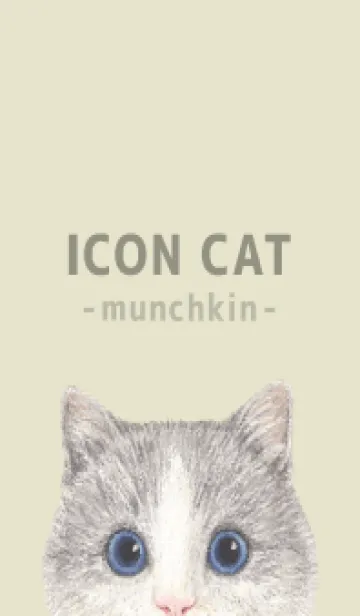 [LINE着せ替え] ICON CAT - マンチカン - PASTEL YE/06の画像1