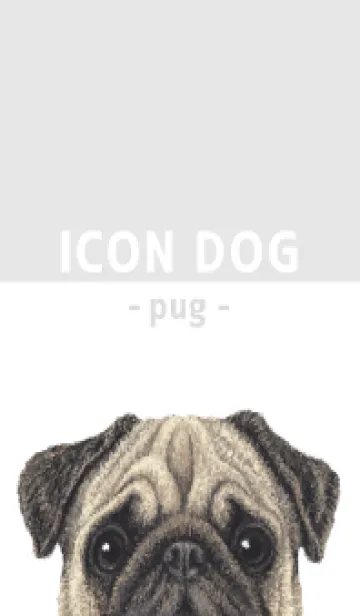 [LINE着せ替え] ICON DOG - パグ - GRAY/04の画像1