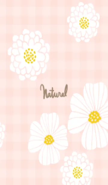 [LINE着せ替え] 白い花 可愛い2の画像1