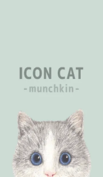 [LINE着せ替え] ICON CAT - マンチカン - PASTEL GR/06の画像1