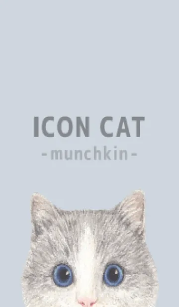 [LINE着せ替え] ICON CAT - マンチカン - PASTEL BL/06の画像1