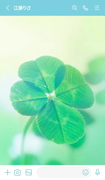 [LINE着せ替え] 本物ラッキークローバー 4-leaf #1-16の画像2