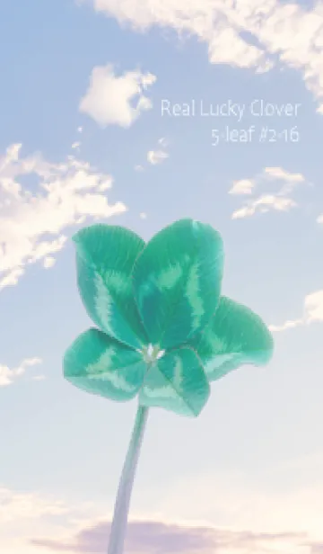 [LINE着せ替え] 本物ラッキークローバー 5-leaf #2-16の画像1