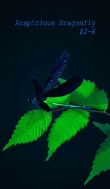 [LINE着せ替え] 吉兆 神様トンボ #2-6の画像1