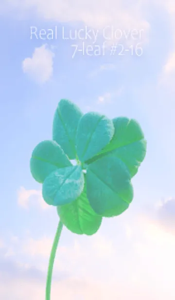 [LINE着せ替え] 本物ラッキークローバー 7-leaf #2-16の画像1