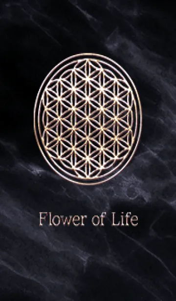 [LINE着せ替え] Flower of Life - Gold (M) - ブラック 02の画像1