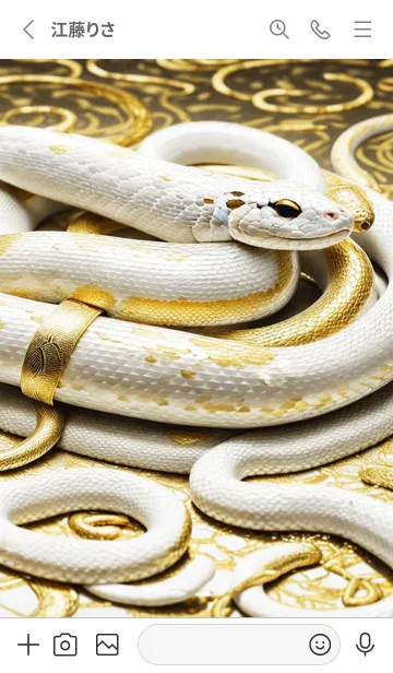 [LINE着せ替え] 金運上昇 黄金と白蛇 幸運の10の画像2