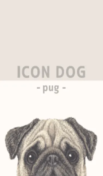 [LINE着せ替え] ICON DOG - パグ - BEIGE/04の画像1