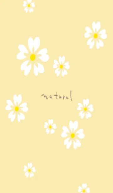 [LINE着せ替え] 5枚の白い花びら5の画像1