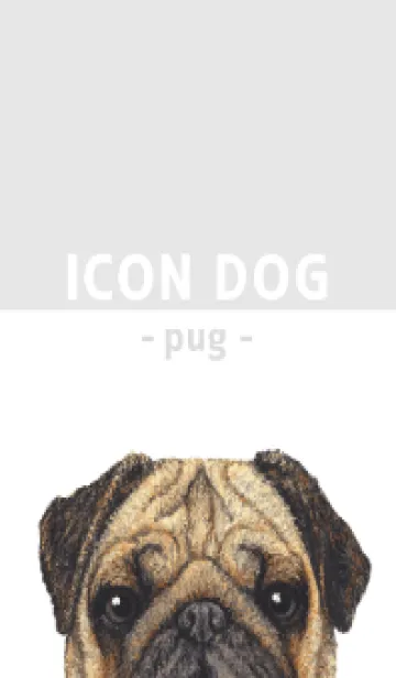 [LINE着せ替え] ICON DOG - パグ - GRAY/05の画像1