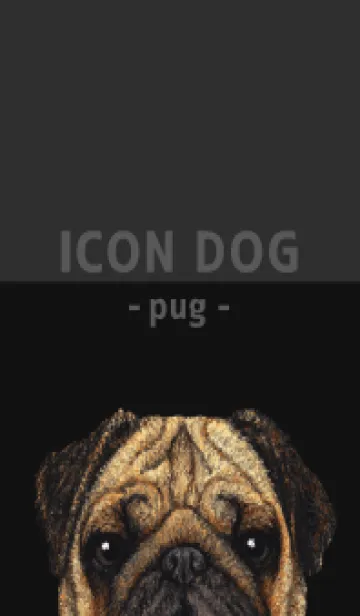 [LINE着せ替え] ICON DOG - パグ - BLACK/05の画像1