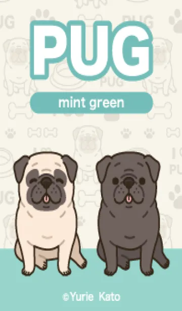 [LINE着せ替え] PUG / ミントグリーンの画像1