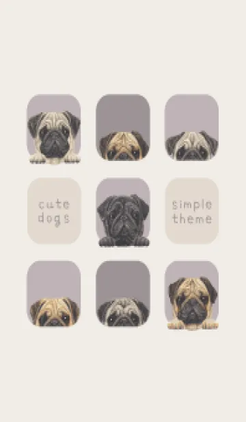 [LINE着せ替え] DOGS - パグ - パープルグレーの画像1