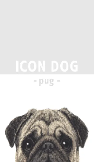 [LINE着せ替え] ICON DOG - パグ - GRAY/06の画像1
