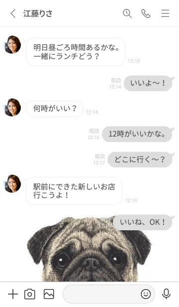 [LINE着せ替え] ICON DOG - パグ - GRAY/06の画像3