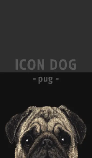 [LINE着せ替え] ICON DOG - パグ - BLACK/06の画像1