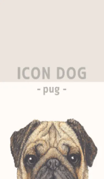 [LINE着せ替え] ICON DOG - パグ - BEIGE/05の画像1