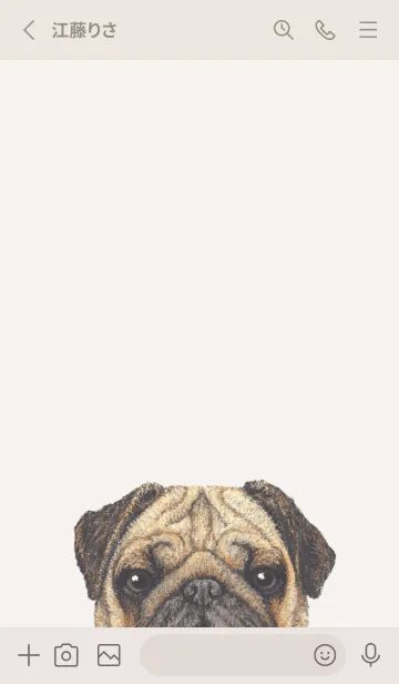 [LINE着せ替え] ICON DOG - パグ - BEIGE/05の画像2