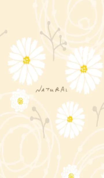 [LINE着せ替え] シンプル 白色の花10の画像1