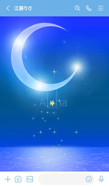 [LINE着せ替え] きらきらブルームーン*ハワイ＊ALOHA+272-1の画像2