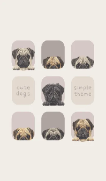 [LINE着せ替え] DOGS - パグ - ブラウングレーの画像1