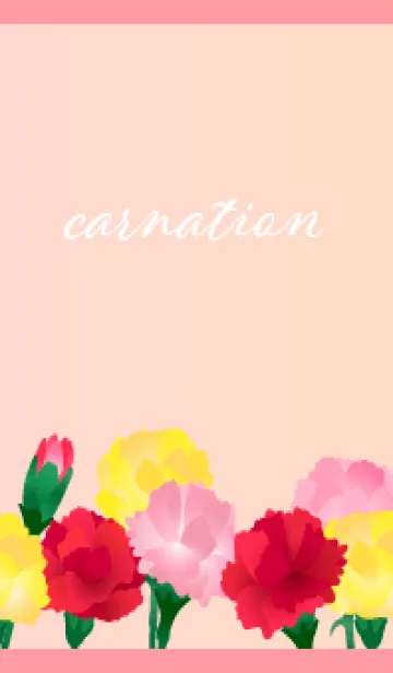 [LINE着せ替え] カラフルなカーネーション 薄いピンクの画像1