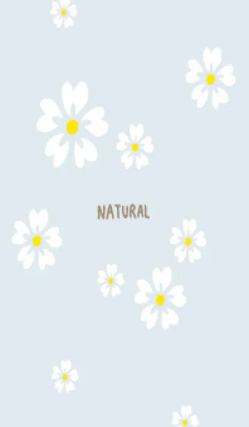 [LINE着せ替え] 5枚の白い花びら27の画像1