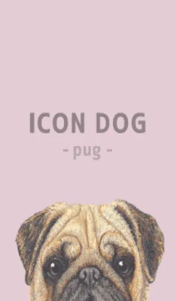 [LINE着せ替え] ICON DOG - パグ - PASTEL PK/01の画像1