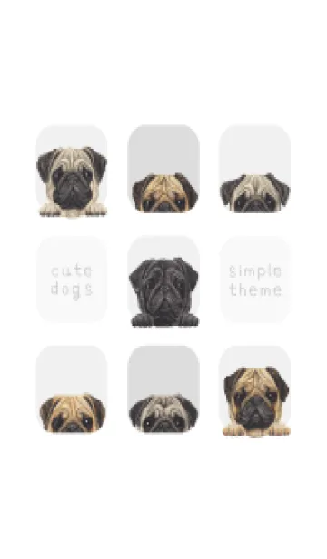 [LINE着せ替え] DOGS - パグ - ホワイト/グレーの画像1