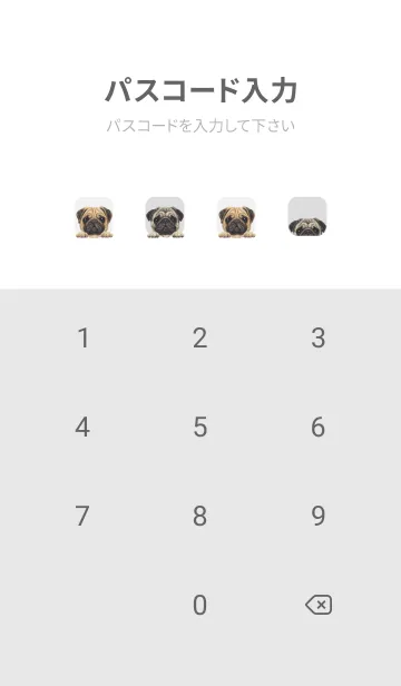 [LINE着せ替え] DOGS - パグ - ホワイト/グレーの画像4