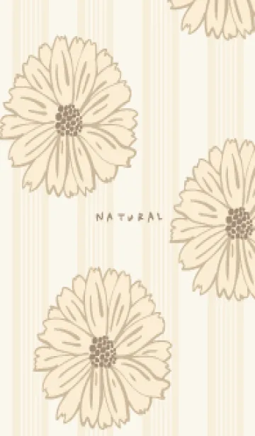 [LINE着せ替え] マーガレット 大人カラー24の画像1