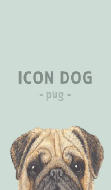 [LINE着せ替え] ICON DOG - パグ - PASTEL GR/01の画像1