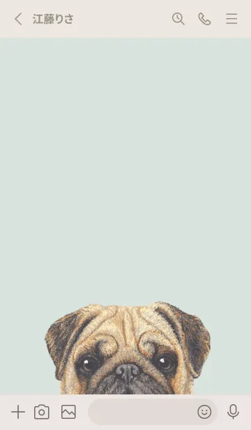 [LINE着せ替え] ICON DOG - パグ - PASTEL GR/01の画像2