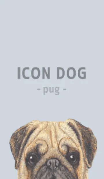 [LINE着せ替え] ICON DOG - パグ - PASTEL BL/01の画像1