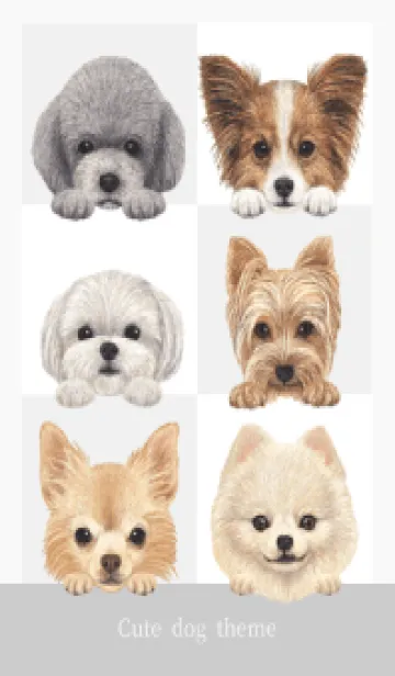 [LINE着せ替え] Dogs 02 - 白の画像1