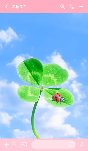 [LINE着せ替え] 四つ葉のクローバーとテントウムシ #8-14の画像2