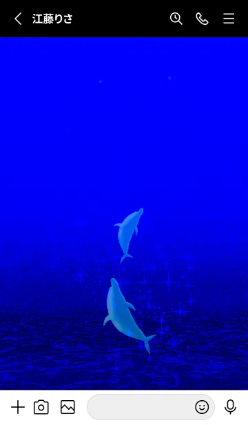 [LINE着せ替え] 心整える海♫ダンス オブ ドルフィン＊78の画像2