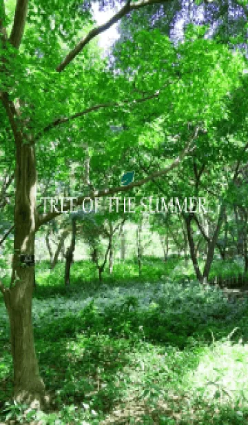 [LINE着せ替え] TREE OF THE SUMMER-MEKYM 22の画像1