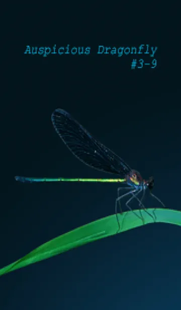 [LINE着せ替え] 吉兆 神様トンボ #3-9の画像1