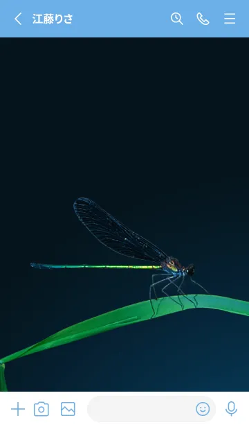 [LINE着せ替え] 吉兆 神様トンボ #3-9の画像2