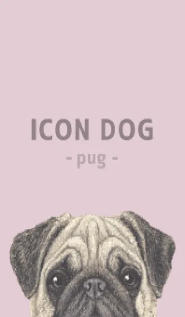 [LINE着せ替え] ICON DOG - パグ - PASTEL PK/02の画像1