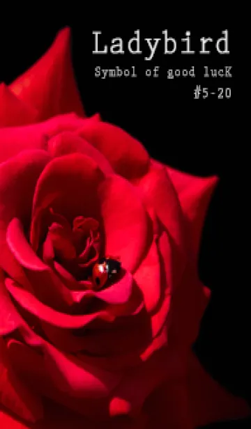Ladybird Symbol of good luck #5-20の着せ替えメイン画像