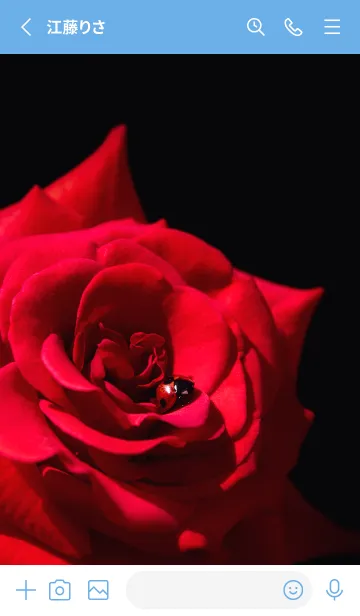 [LINE着せ替え] Ladybird Symbol of good luck #5-20の画像2