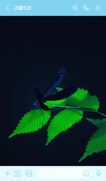 [LINE着せ替え] 吉兆 神様トンボ #2-10の画像2