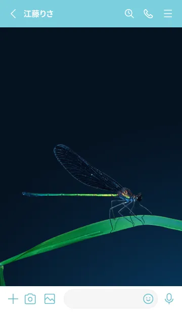 [LINE着せ替え] 吉兆 神様トンボ #3-10の画像2