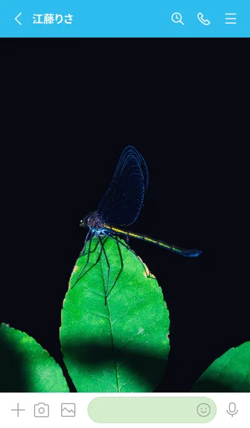 [LINE着せ替え] 吉兆 神様トンボ #4-9の画像2