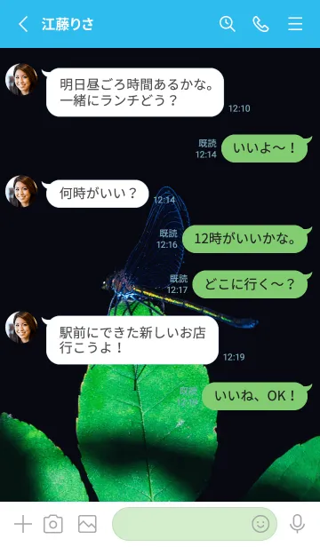 [LINE着せ替え] 吉兆 神様トンボ #4-9の画像3