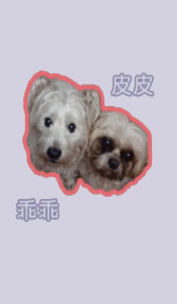 [LINE着せ替え] 犬の生活の写真の画像1