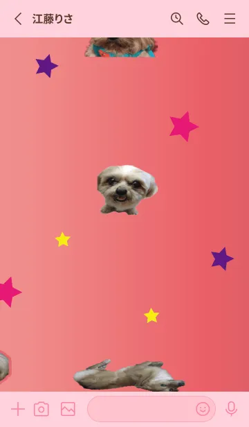 [LINE着せ替え] 犬の生活の写真の画像2